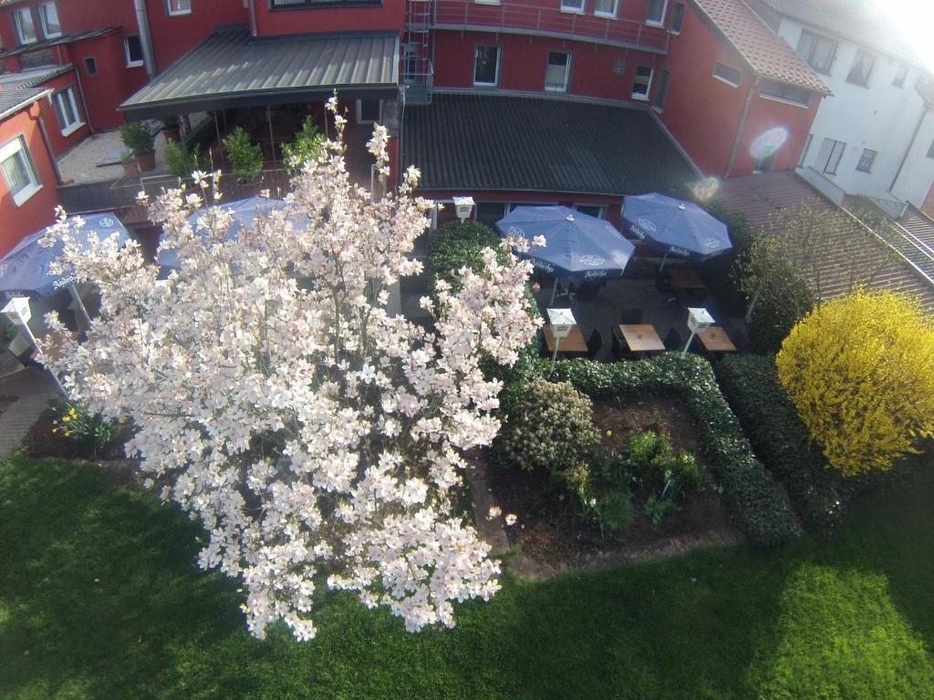 Hotel Wahlster Saarbruecken Luaran gambar